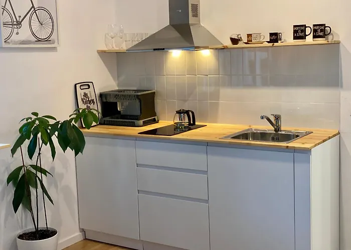 Lucas Oasis * Tirana