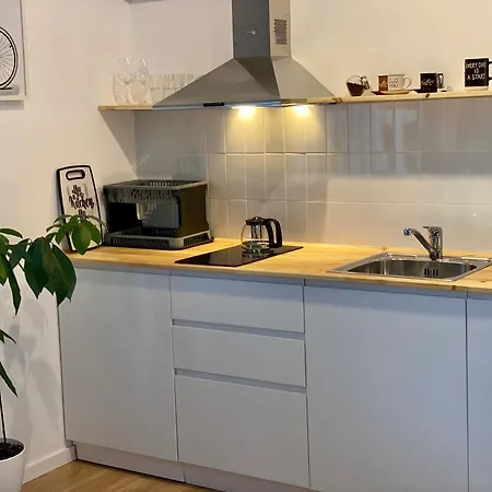 Lucas Oasis * 地拉那